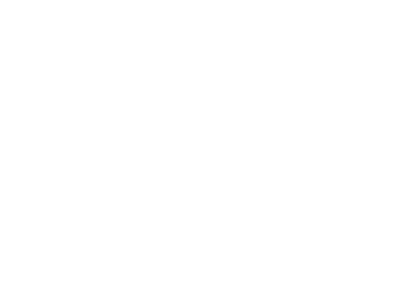 Northern Edge IT Consulting